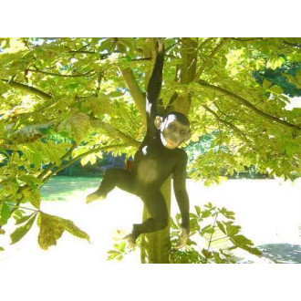 Chimpanzé avec bras suspendu en résine 92 cm