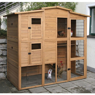 Poulailler en bois avec 6 accès indépendants
