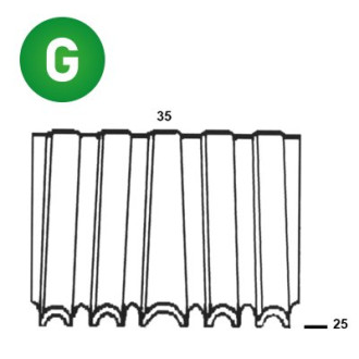 Agrafes croco WN-25 / 35 - 6WN251