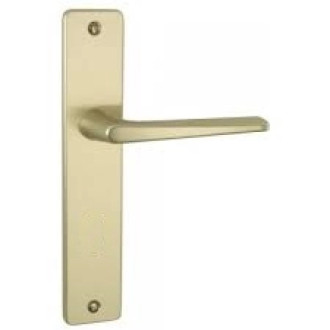 Ensemble de porte Riviera 90 BEZAULT Entraxe 195 mm Champagne - Bec de cane - 0072805 