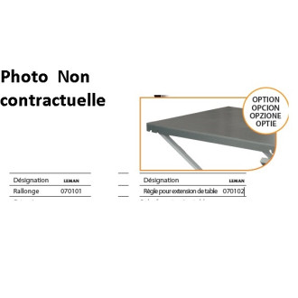 Règle pour extension de table pour losst315