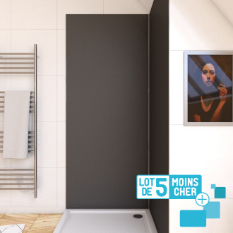 Lot de 5 panneaux muraux pour salle de bains en aluminium gris - 90x210cm - wall'it Aurlane - PACP285