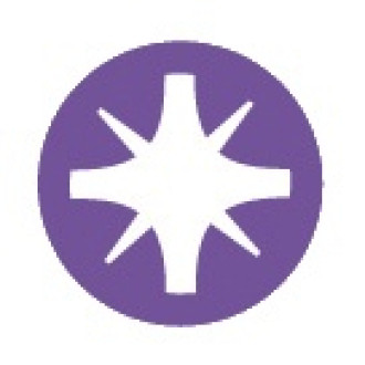 Tournevis SAM bois - TW