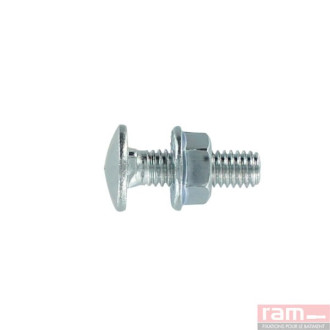Sachet de 10 boulons TRCC 6x20 - 93453