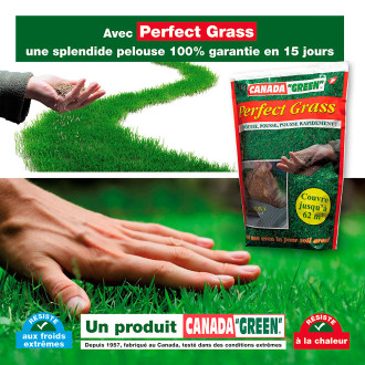 Gazon canada green perfect grass 1kg