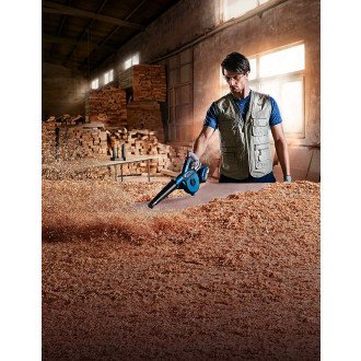 Souffleur bosch gbl 18v-120 (machine seule)