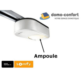 Ampoule à baïonnette 24v de remplacement pr moteur dexxo optimo / compact SOMFY