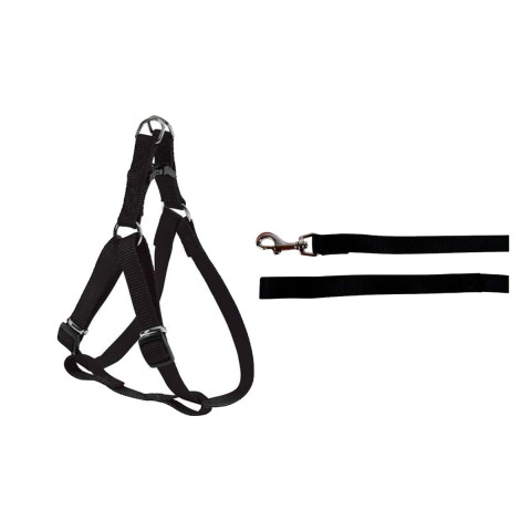 Pack zolux harnais noir en nylon 25mm - laisse noire 1m