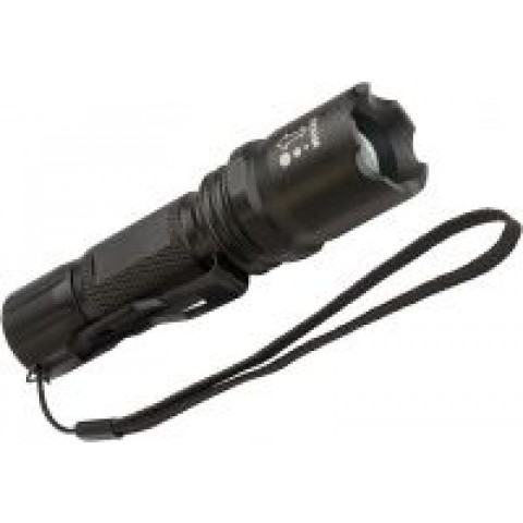 Lampe de poche LED BRENNENSTUHL Focus LED CREE rechargeable TL 250AF IP44 CREE-LED 250lm 3xAAA 1178600161