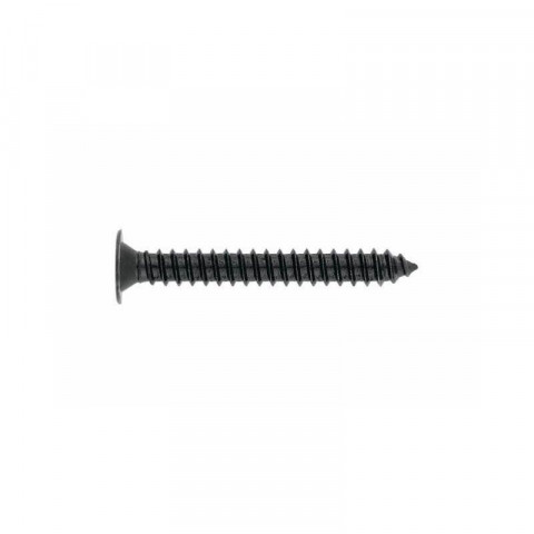 Vis à tôle, tête extraplate noire Empreinte ph - 4,2 x 22 500 pièces