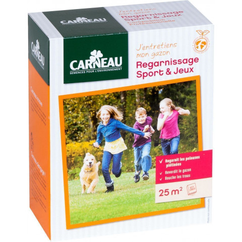 Gazon regarnissage sport