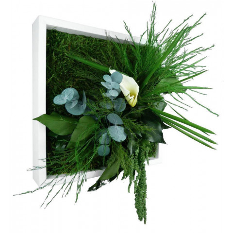 Tableau nature mono avec plantes stabilisées