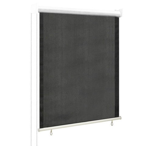 Store roulant d'extérieur 60x140 cm anthracite