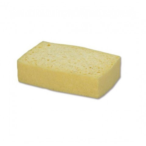 Eponge bordée vg n°6