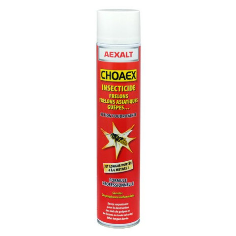 Spray choaex insecticide anti-frelons 1000 ml portée 6 m