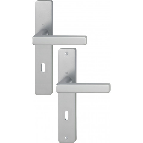 Ensemble sur plaques DALLAS aspect inox Clé L 1643M/202M HOPPE