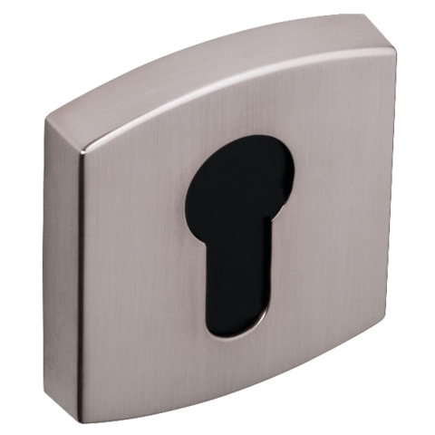 Paire de rosaces 6425 Muze BEZAULT - Platine aspect inox - Clé I - 865957