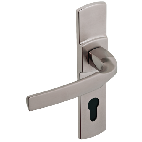 Ensemble de porte sur plaque Artis BEZAULT Entraxe 165mm - Inox brossé - Clé i - 865247