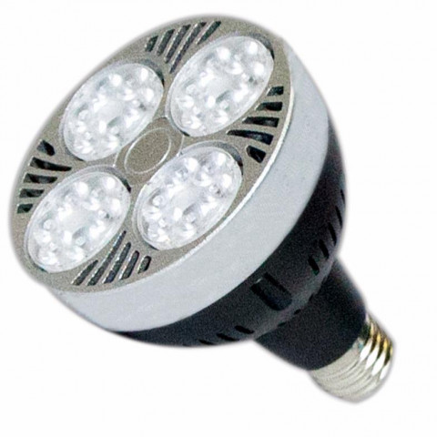 Ampoule led e27 par30 35w 220v 24led 60 - couleur eclairage au choix