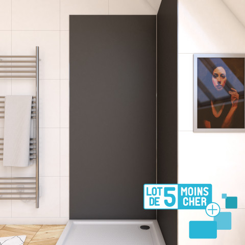 Lot de 5 panneaux muraux pour salle de bains en aluminium gris - 90x210cm - wall'it Aurlane - PACP285
