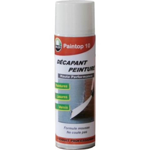 Paintop décapant peinture haute performance bombe aérosol 500ml DALEP - 710001               