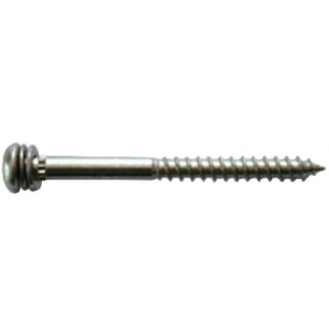 Vis MUSTAD Pour assemblage mécanique - Tête ronde Torx 40 - Zingué blanc -  Ø7x90 - Boite de 400 - LT293A700900B8S