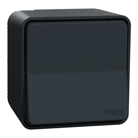 Mureva Styl - Va et vient - saillie - IP55 - IK08 - connexion auto - gris - SCHNEIDER ELECTRIC - MUR35021