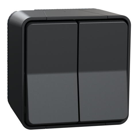 Mureva Styl - Double va et vient - saillie - IP55 - IK08 - connexion auto - gris - SCHNEIDER ELECTRIC - MUR35022