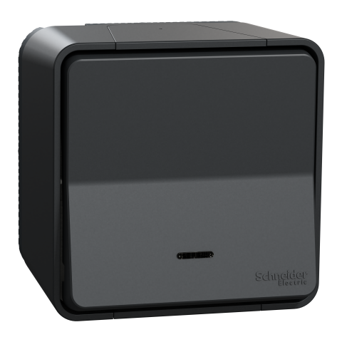 Mureva Styl - Va et vient lumineuxLED - saillie - IP55 IK08 - connex auto - gris - SCHNEIDER ELECTRIC - MUR35024