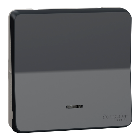 Mureva Styl - Va et vient lumineux LED - composable -IP55-IK08 -connex auto-gris - SCHNEIDER ELECTRIC - MUR35025