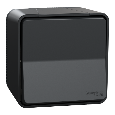 Mureva Styl - Bouton poussoir - saillie - IP55 - IK08 - connexion auto - gris - SCHNEIDER ELECTRIC - MUR35026