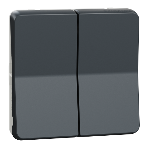 Mureva Styl - Double bouton poussoir - composable - IP55 - IK07 - gris - SCHNEIDER ELECTRIC - MUR35326