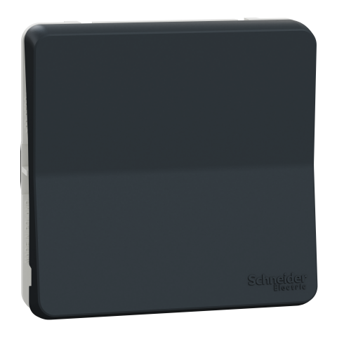 Mureva Styl - Va et vient - composable - IP55 - IK08 - connexion auto - gris - SCHNEIDER ELECTRIC - MUR37021