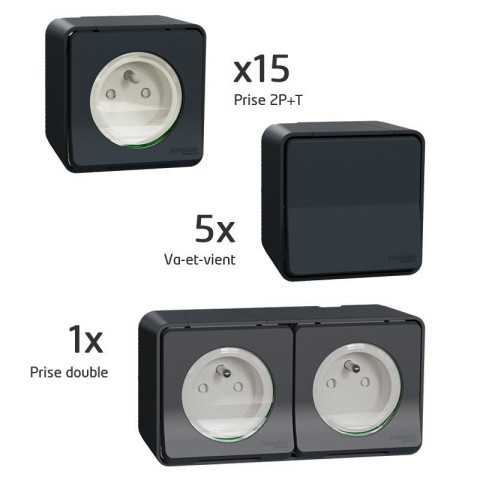 Probox Mureva 15 PC + 5 VV + 1 PC double - SCHNEIDER -PFRB13