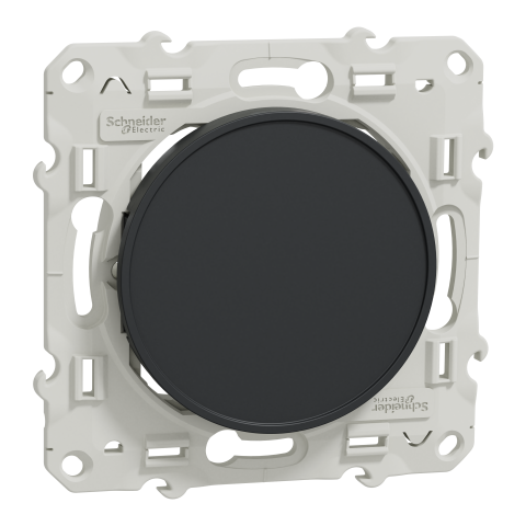 Odace - Obturateur - anthracite - fixation par vis - SCHNEIDER ELECTRIC - S540666