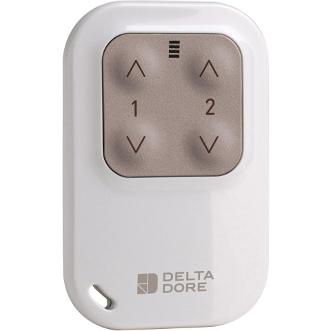 Télécommande porte-clé radio 2 voies pour éclairage ou volet roulant - Tyxia 1400 - DELTA DORE - 6351388
