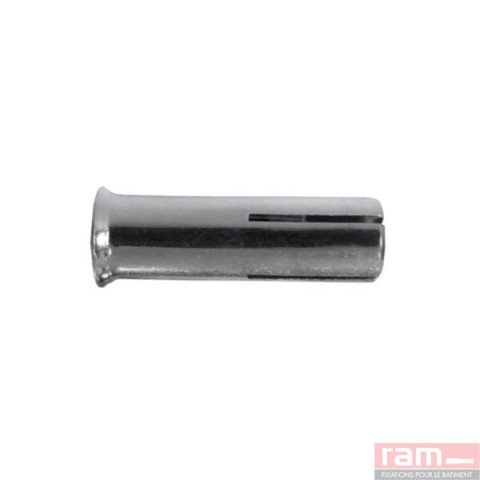Boite de 50 chevilles de frappe 10mm - 61641