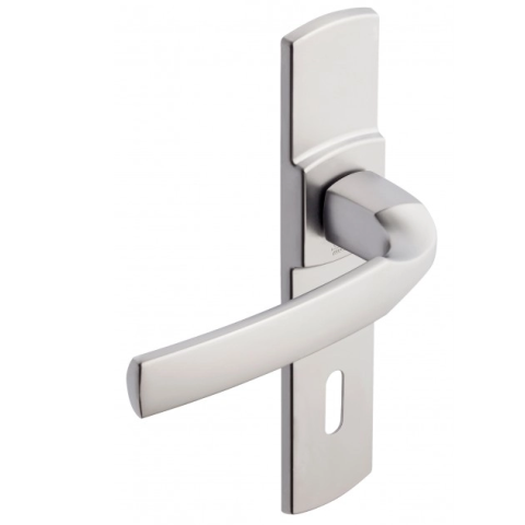 Ensemble de porte sur plaque Artis BEZAULT Entraxe 165mm - Inox brossé - Clé L - 865223