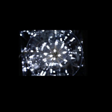 Guirlande intérieure 50 leds blanche 2,5m