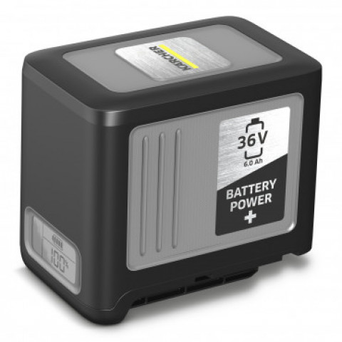 Batterie power+ 36/60 6ah - 2.042-022.0