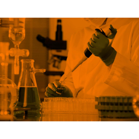 Film Inactinique Orange – Protection Anti-Lumière pour Laboratoire - largeur & longueur au choix
