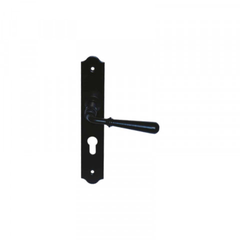 Poignée de porte sur plaque à clé classique modèle beynac - noir