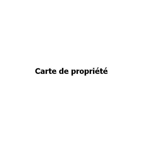 Carte de reproduction de clé, marque CARMINE