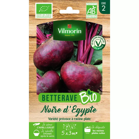 Sachet graines betterave noire d'egypte bio - beta vulgaris