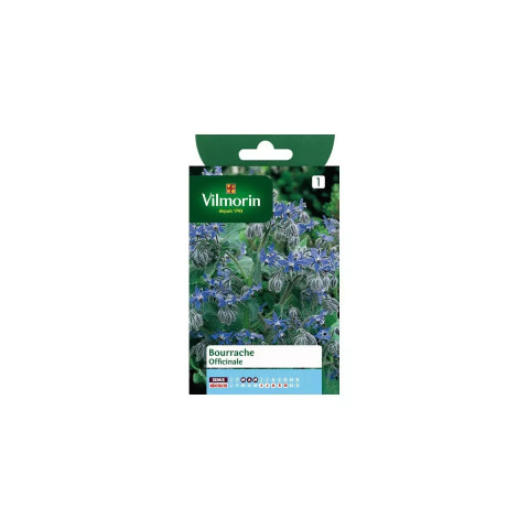 Sachet graines bourrache officinale