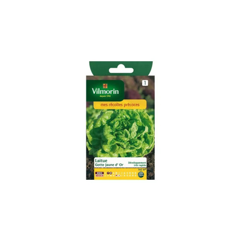 Sachet graines laitue gotte jaune d'or