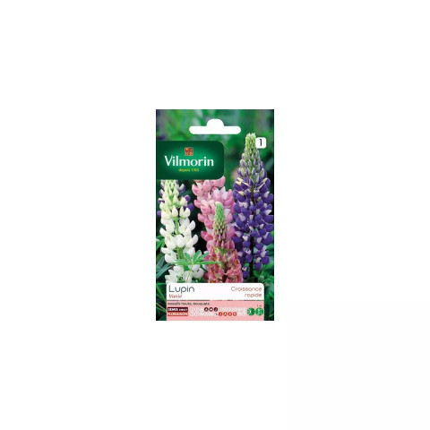 Sachet graines lupin annuel en mélange