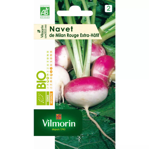 Sachet graines navet de milan rouge extra hatif à chassis bio