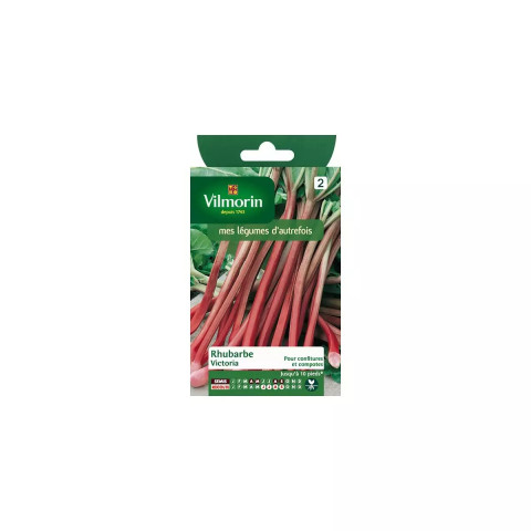 Sachet graines rhubarbe victoria