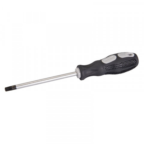 Tournevis à usage général Torx - T40 x 115 mm
